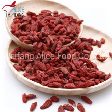 Hot Selling Traditional Chinese Healthy Food Dried Goji Berry Woflberry Dry Goji